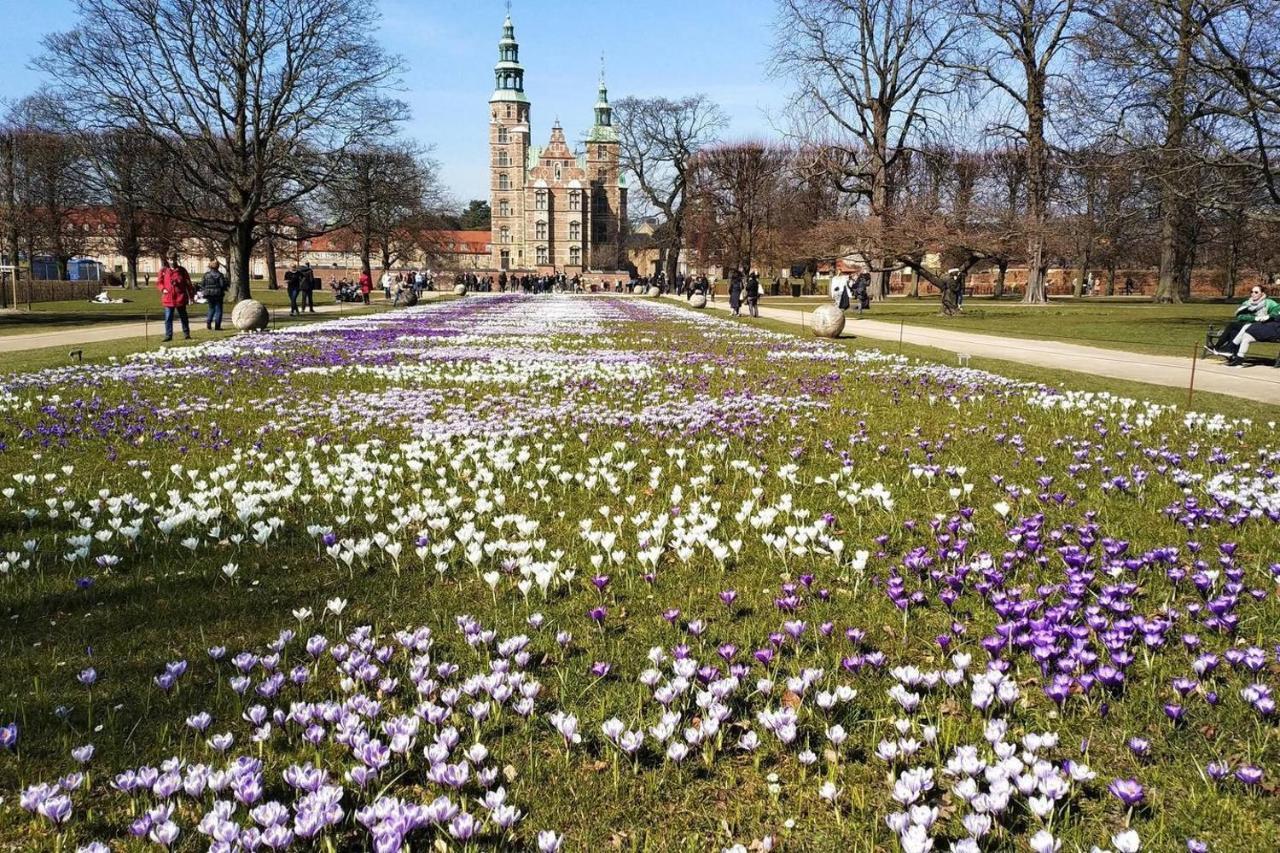 Bright, Spacious And Trendy In Cph * Kopenhagen
